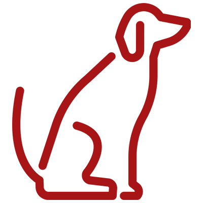 pet wellness icon